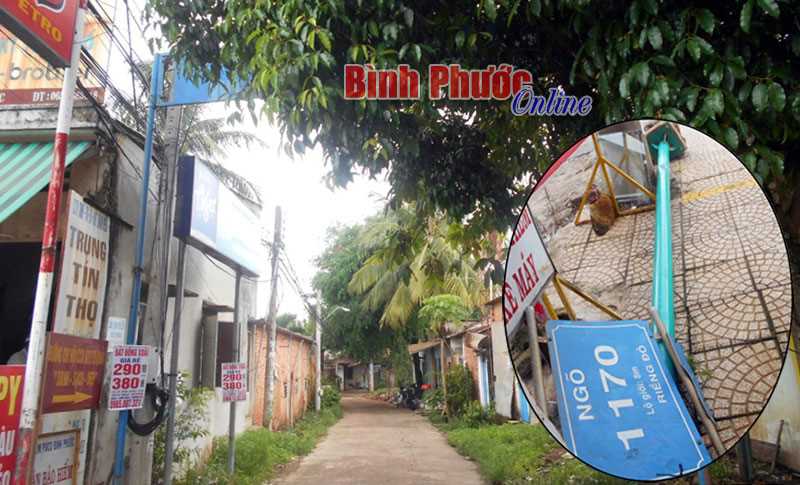 Cây che “bóng mát” cổng chào