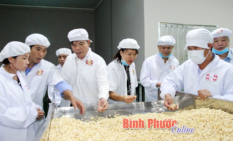 Bộ trưởng Nguyễn Xu&acirc;n Cường tham quan d&acirc;y chuyền sản xuất của C&ocirc;ng ty điều Ph&uacute;c An