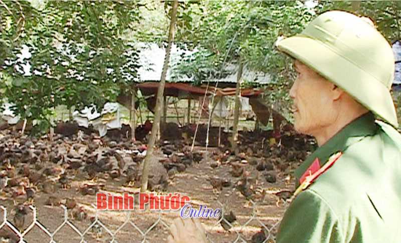 “Quỹ vì đồng đội” giúp hội viên làm giàu