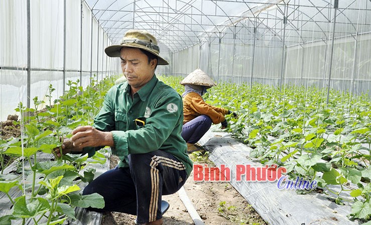 Sở N&ocirc;ng nghiệp v&agrave; Ph&aacute;t triển n&ocirc;ng th&ocirc;n: Sắp xếp giảm đầu mối, nhưng đảm bảo kh&ocirc;ng bỏ s&oacute;t nhiệm vụ