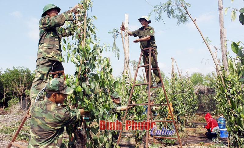 Sẵn sàng ứng phó các tình huống thiên tai