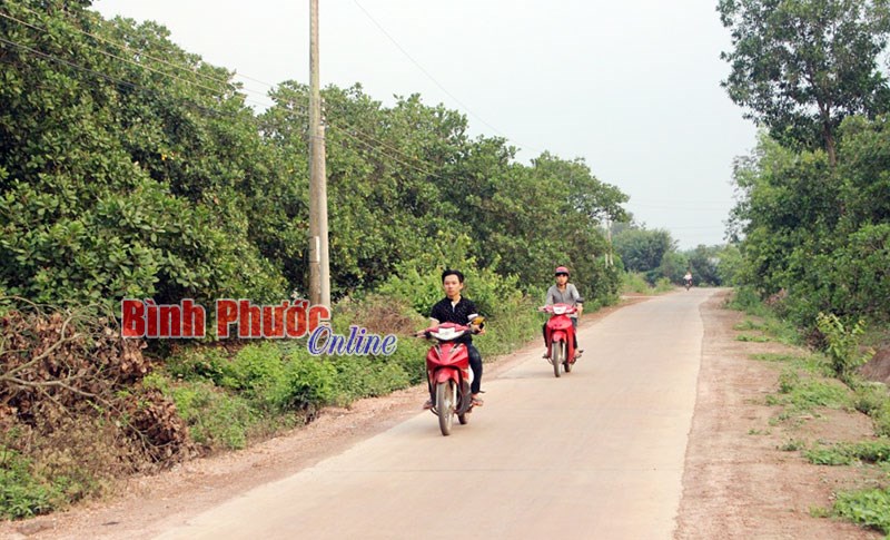 Tân Hòa phấn đấu đạt chuẩn NTM năm 2018