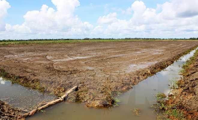 Hớn Quản: 262,9 ha đất khó khăn về nguồn nước