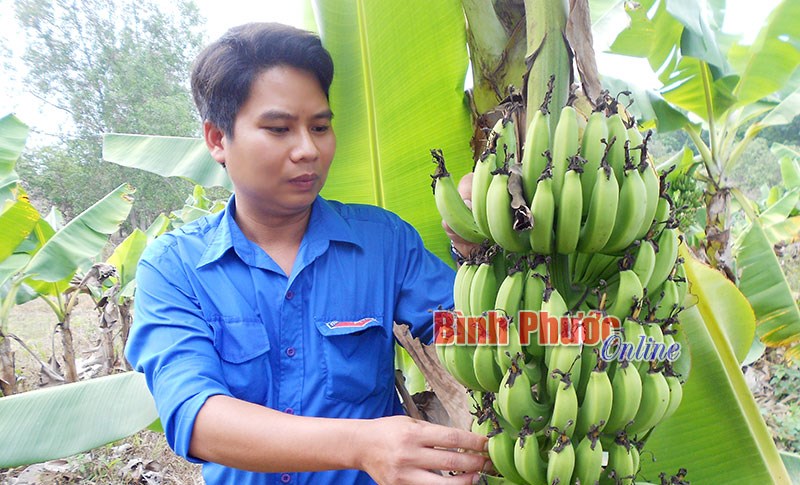 Thủ lĩnh thanh niên năng động