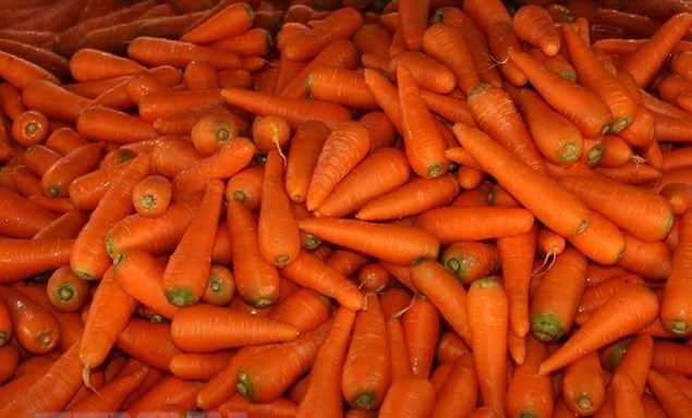 [Video] Cận cảnh 4 cơ sở tẩy rửa c&agrave; rốt bằng h&oacute;a chất vừa bị ph&aacute;t hiện