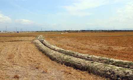 Tăng cường năng lực ứng phó và thích ứng với biến đổi khí hậu