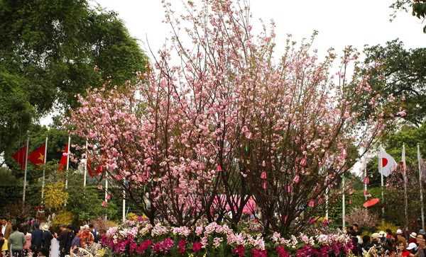 Thắt chặt quan hệ Đối tác chiến lược sâu rộng Việt Nam-Nhật Bản