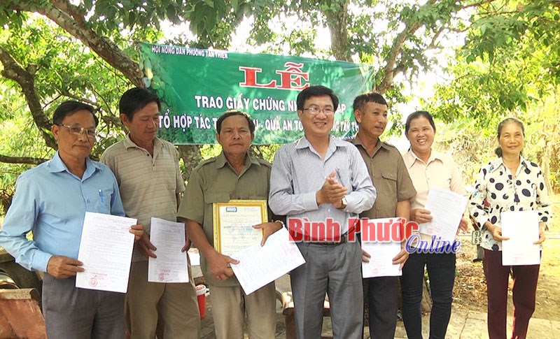 Trao giấy chứng nhận VietGAP cho tổ sản xuất rau an toàn ở Tân Thiện