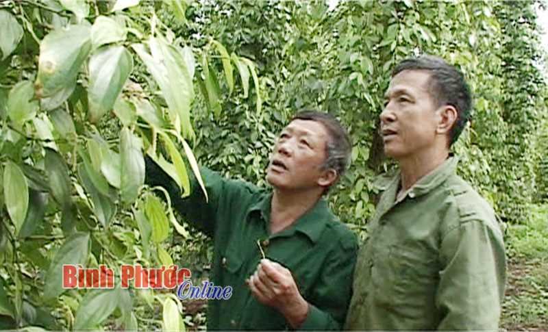 Vượt khó vươn lên