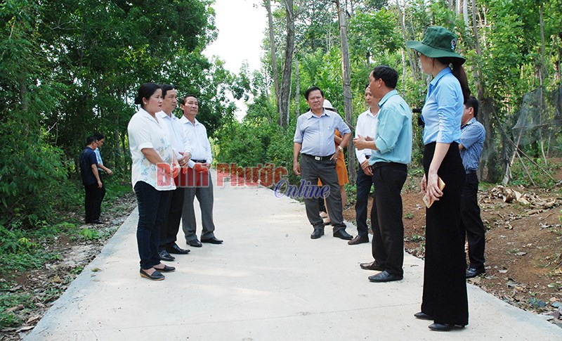 Xã nghèo quyết tâm về đích nông thôn mới