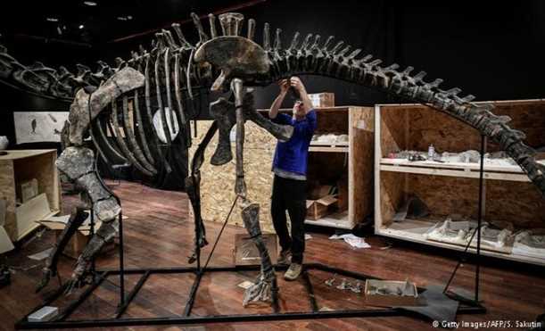 Người bí ẩn đấu giá mua xương hóa thạch khủng long 150 triệu năm tuổi