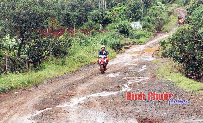 Tuyến đường “đau khổ”