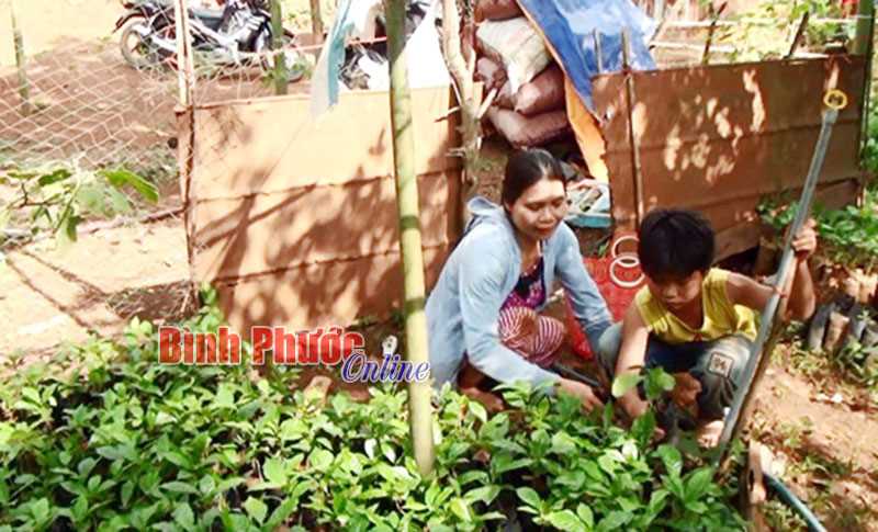 Nghị lực vươn lên của một phụ nữ S’tiêng