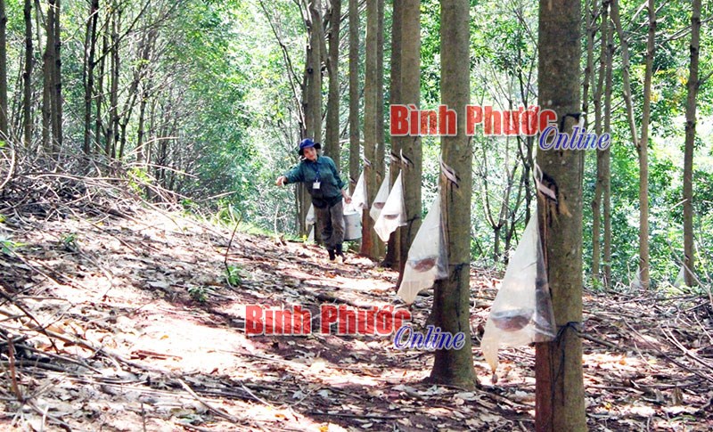 Khi công nghệ được ứng dụng vào sản xuất