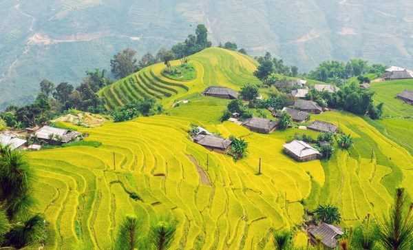 Sức hút lễ hội du lịch mùa thu ở vùng núi cao của Lào Cai