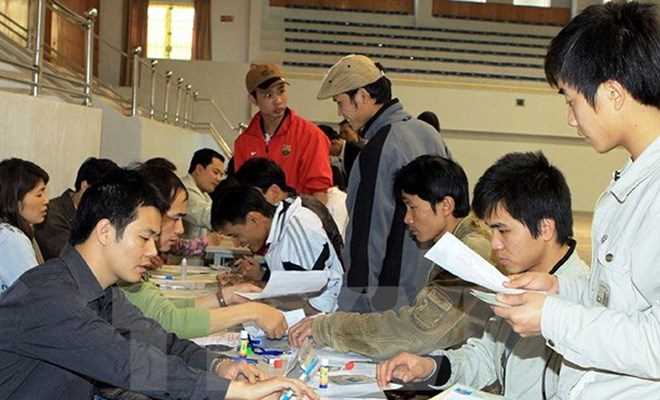 Website đăng ký hồ sơ lao động kỳ tại Australia gặp trục trặc kỹ thuật