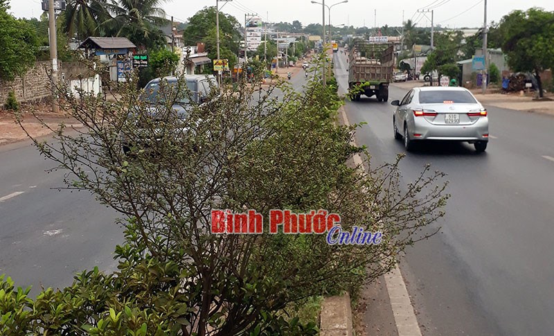 Đồng Xoài cần đầu tư đồng bộ cho hệ thống giao thông