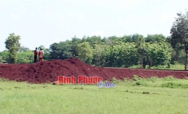 Đất nông nghiệp Bình Long đang giảm dần