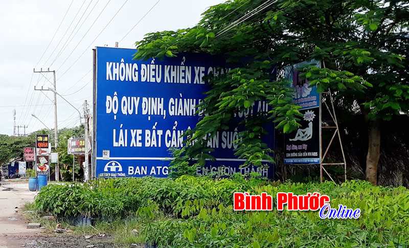 Có cũng như không