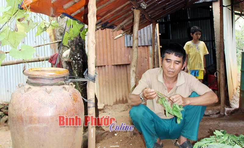 Bù Gia Mập: 436 hộ DTTS bán điều non, vay tiền lãi suất cao