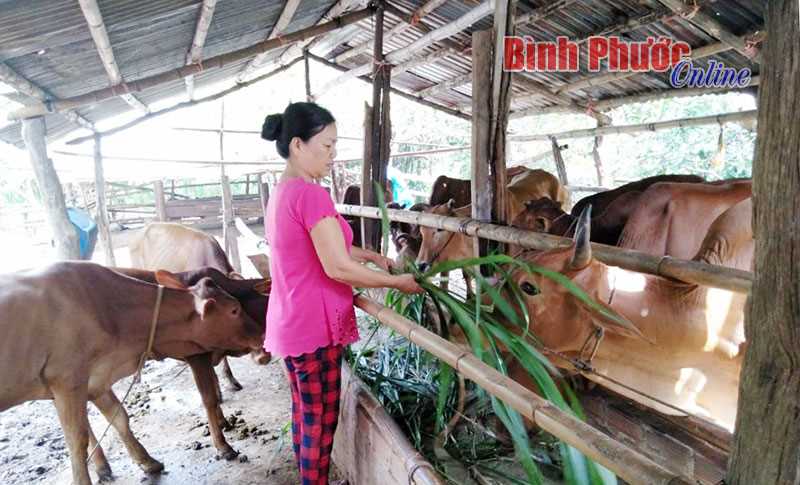 Phụ nữ “Giỏi việc nước, đảm việc nhà”