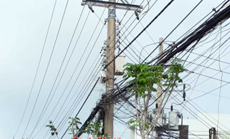 Cây xanh trồng dưới đường dây điện