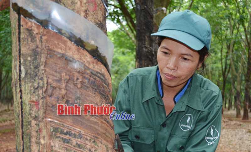 CNVCLĐ tỉnh kiến nghị 4 nội dung với Đảng, Nhà nước