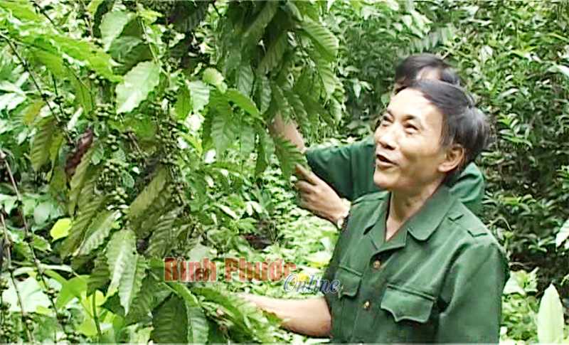 Cựu chiến binh Bình Long giúp nhau phát triển kinh tế