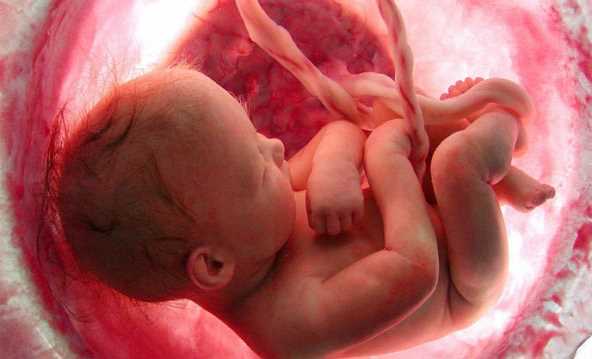 Cấp cứu kịp thời một ca sinh ngạt do sa dây rốn