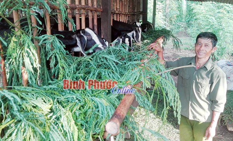 Dê thương phẩm hút hàng trở lại