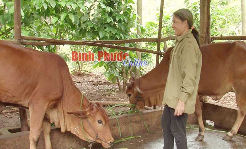 Điểm tựa của người dân vùng sâu