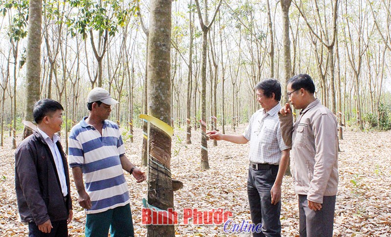 Đồng Phú đưa Chỉ thị 05 vào cuộc sống