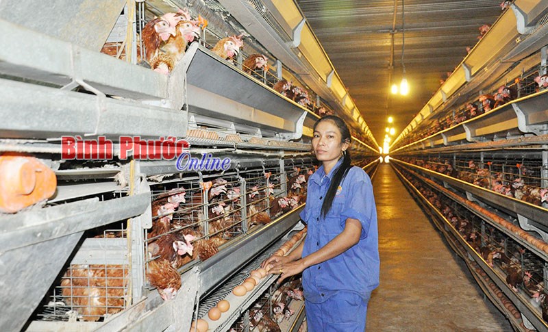 Đồng Phú: Diện mạo mới từ 2 chương trình đột phá