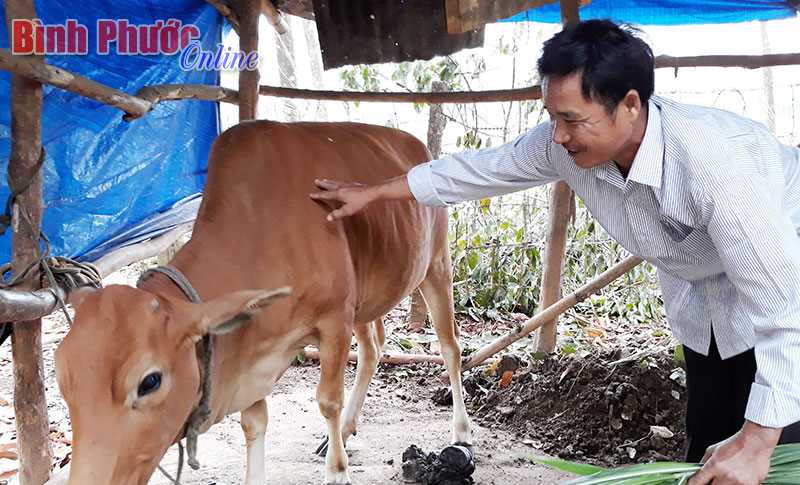 Đồng Xoài giải ngân 10,5 tỷ đồng vốn vay quốc gia về việc làm