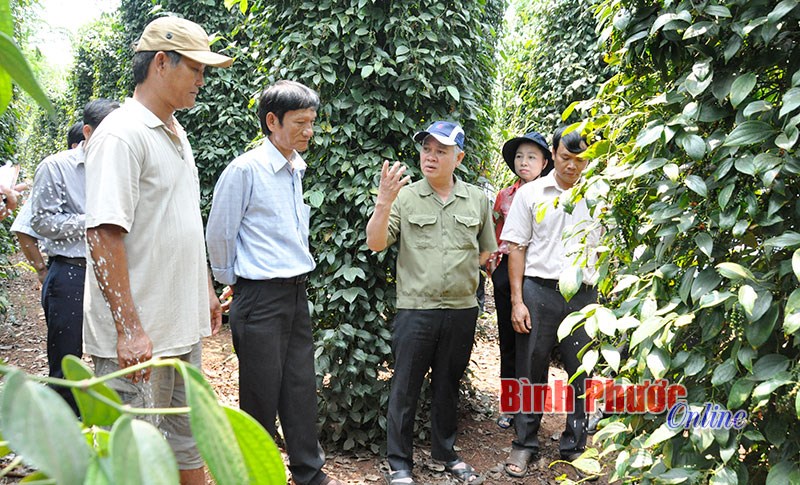 Kiên quyết khắc phục “hành chính hóa” trong hoạt động hội