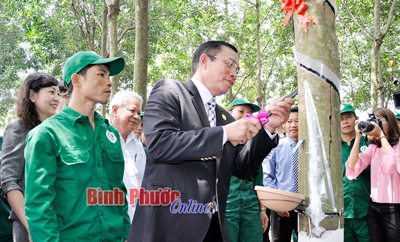 Nâng chất từ quản lý nông nghiệp ổn định