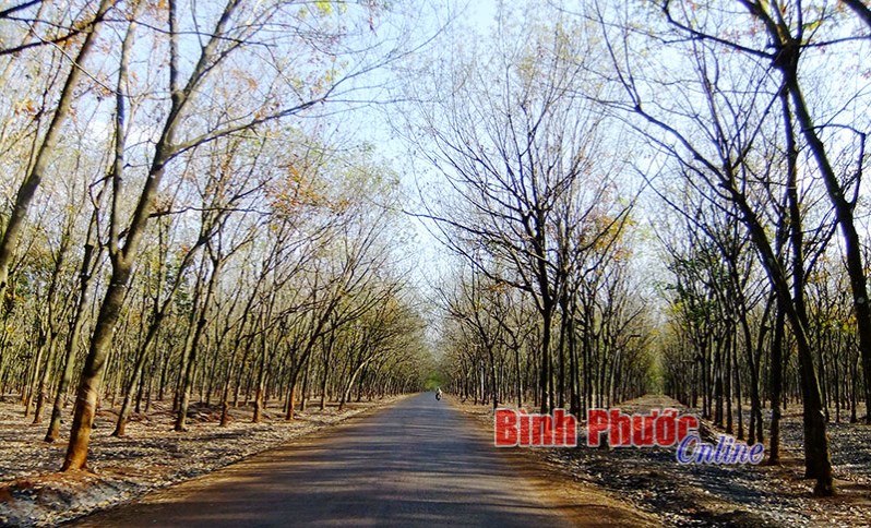 Mong “đánh thức” tiềm năng du lịch