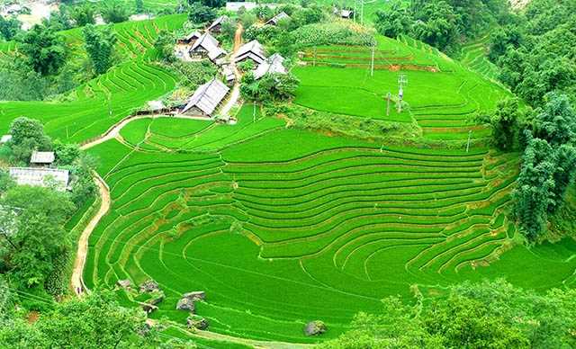 7 tour du lịch được khách du lịch nước ngoài yêu thích nhất tại Việt Nam