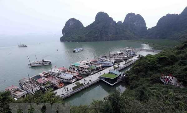 36 tàu du lịch trên Vịnh Hạ Long bị đình chỉ hoạt động kể từ đầu năm
