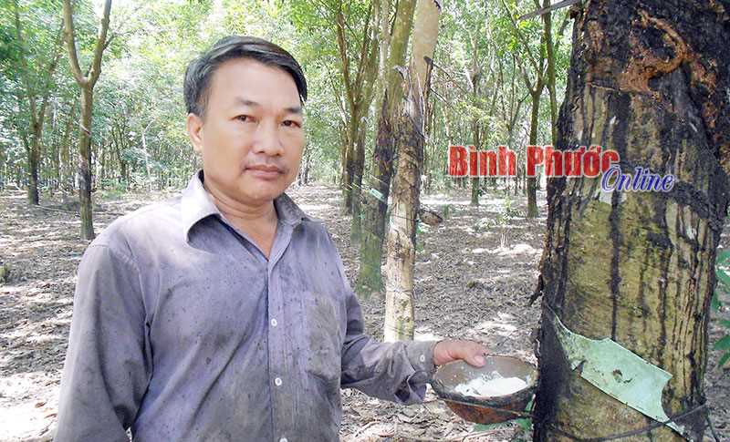 Thu nhập cao từ làm kinh tế tổng hợp