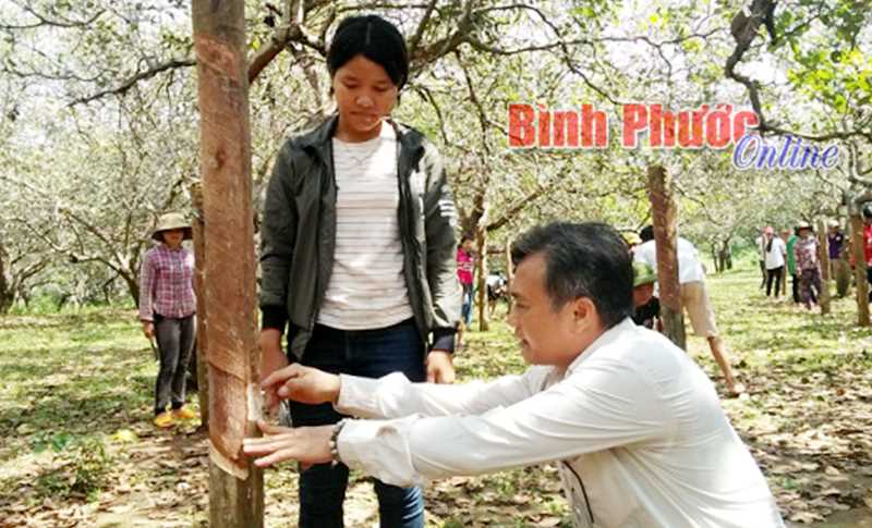 Xã Thọ Sơn có 39 nông dân sản xuất - kinh doanh giỏi