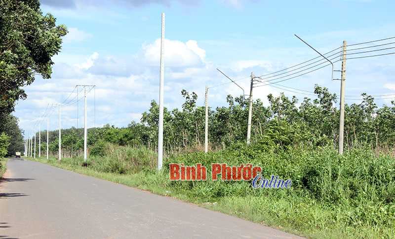 Chơn Thành phấn đấu nâng tỷ lệ hộ dân sử dụng điện lên 99%