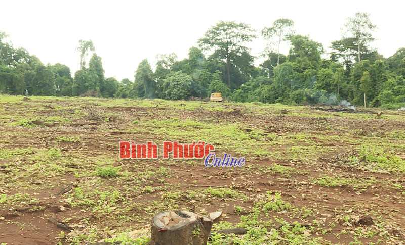 Người dân đồng tình giao trả đất rừng cho Vườn quốc gia Bù Gia Mập