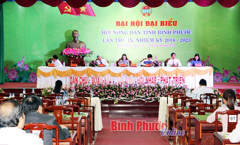 Phiên trù bị Đại hội đại biểu Hội Nông dân tỉnh lần thứ IX