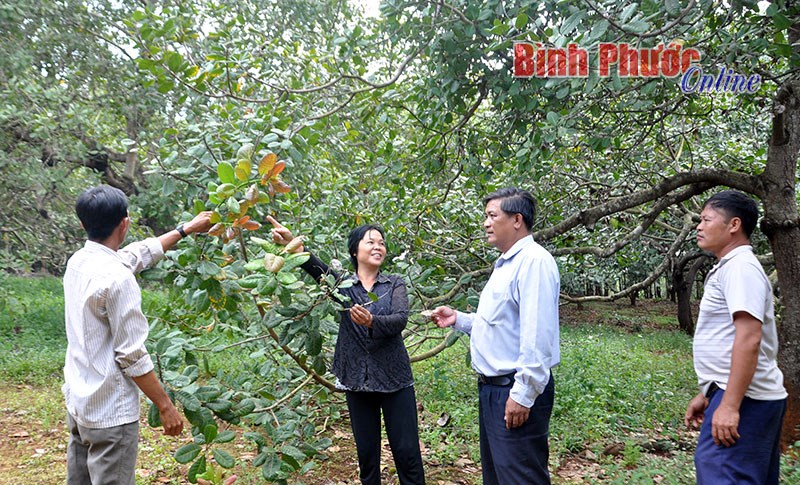 Nâng chất hội viên bền vững: Đồng hành trong phát triển kinh tế là yếu tố tiên quyết