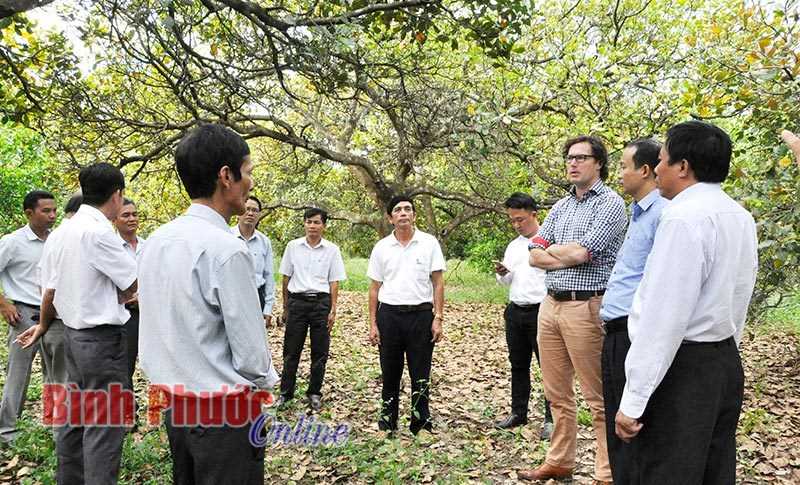 Thu nhập của lao động trong HTX sẽ đạt 47 triệu đồng vào năm 2019