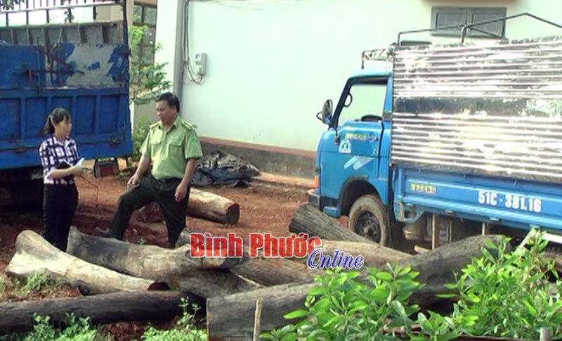 Lộc Ninh quyết tâm giữ “lá phổi xanh”