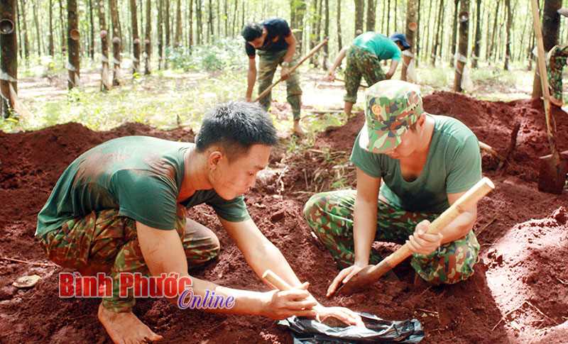 Tìm thấy hài cốt nghi là liệt sĩ trong vườn cao su