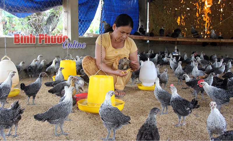 Không chỉ là nghị lực