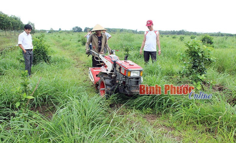 Tạo dựng thương hiệu cho nông sản vùng biên